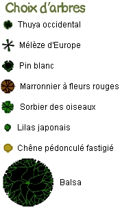 Choix d'arbres