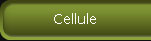 Cellule