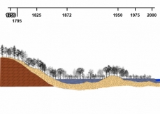 Dessin de la végétation précoloniale du Haut-Saint-Laurent, selon les types de sols