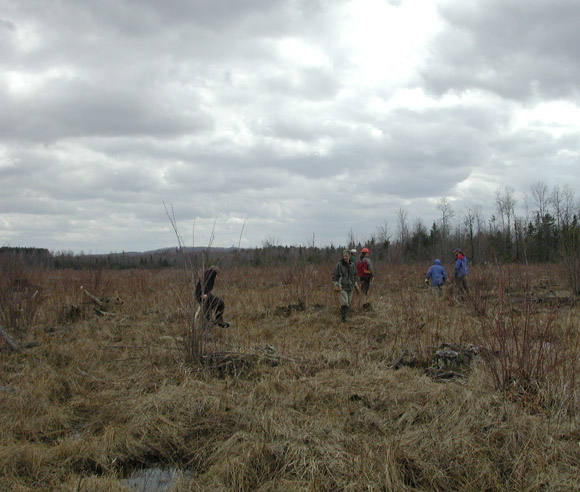 Photo of Alain Cogliastro, in the middle of a fallow site