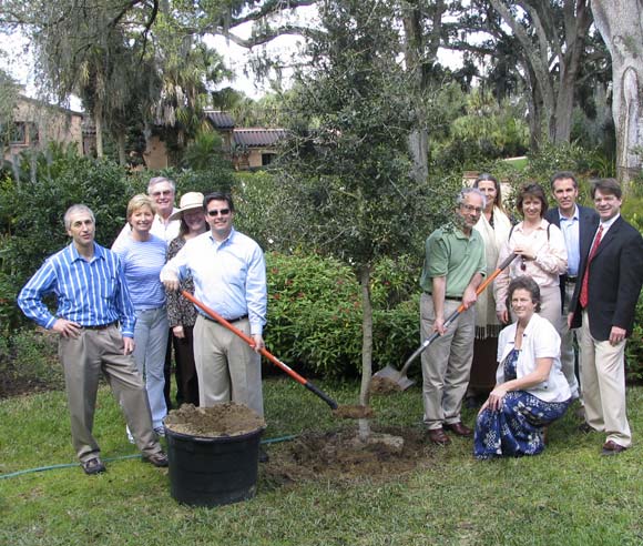 Photo d'une plantation d'arbre au Jardin botanique