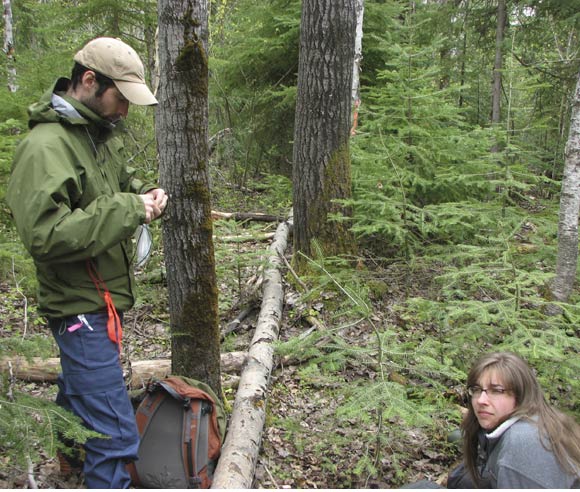 Photo of Philippe Cadieux and Rachel Brien-Lavergne, on one of their study sites