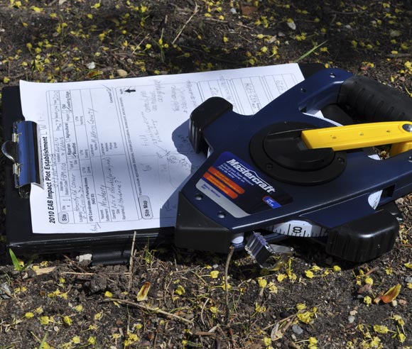 Photo d'un ruban à mesurer, d'une feuille avec des notes et d'un crayon